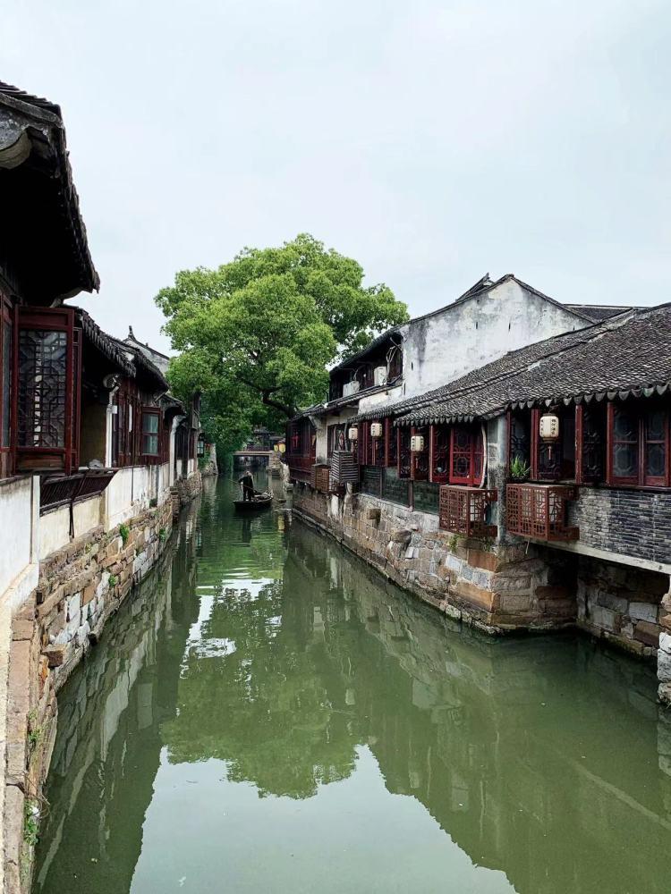 纸箱恐龙制作教程—探索知识的明星聚落